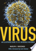 Virus