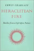 Heraclitean Fire