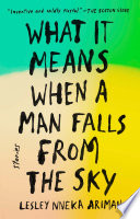 What It Means When a Man Falls from the Sky